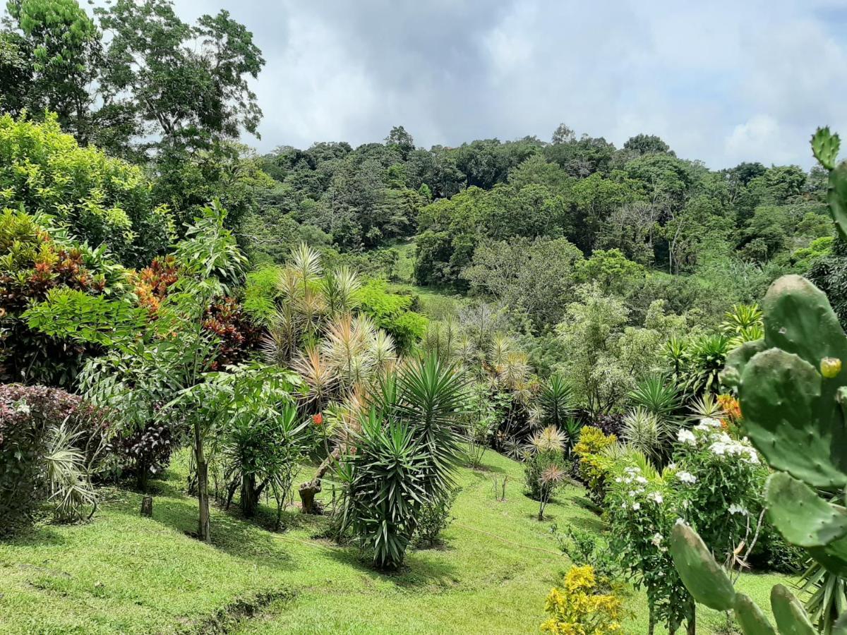 Marita'S Bed And Breakfast Nuevo Arenal Exterior photo